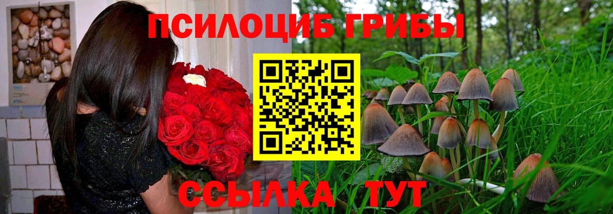 Псилоцибиновые грибы мицелий Карачаевск