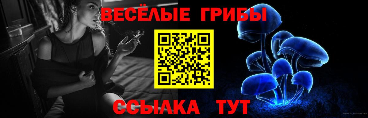 КОКАИН Карачаевск